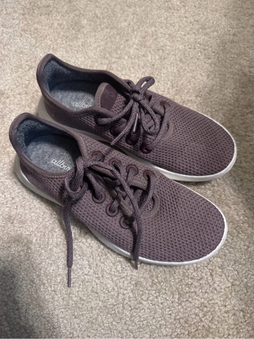 allbirds Women’s Plum Tree Runner Sneakers, Size 6